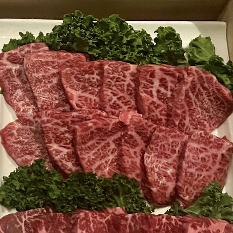 Japanese A5 Waygu